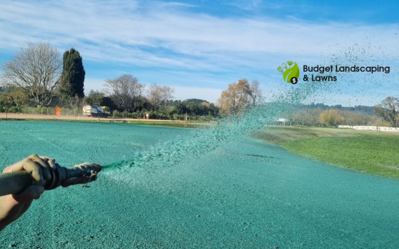 🌱 Hydroseeding
